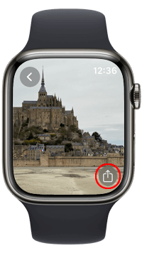 Apple Watchの文字盤選択画面でフォトアルバムを選択する