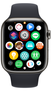 Apple Watchで設定画面を表示する
