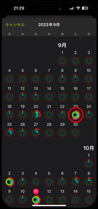 iPhoneでApple Watchで計測した過去の歩数と距離を確認する