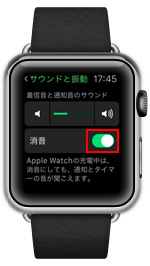 Apple Watchを昇温モードにする