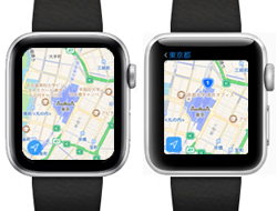Apple Watch ディスプレイ 大型化