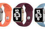 アップルが「Apple Watch」向けスポーツバンドとソロループに新色を追加