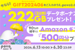 povo2.0で新規加入で「データボーナス222GB(3日間)」がプレゼント - 6/30まで