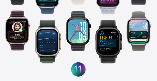 watchOS 11.1