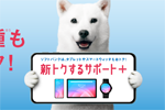 ソフトバンクが新しい端末購入プログラム「新トクするサポート+」の提供を8月20日より開始