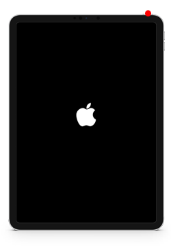 iPadの電源をオンにして初期設定を開始する