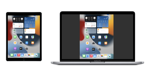 iPadの画面を画面ミラーリングでMacに出力・表示する