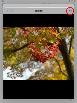 iPadのメールアプリで添付した画像のサイズを確認する