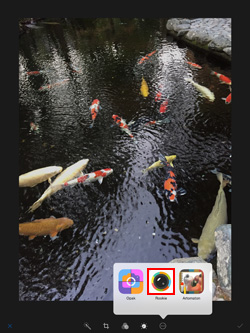 iPad/iPad miniの写真アプリでフィルターを適用したいアプリを選択する