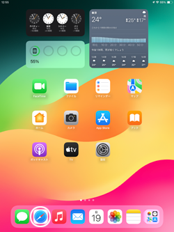 iPadのSafariで閲覧履歴を表示する