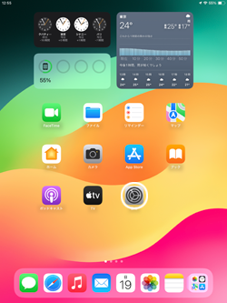 iPadの設定アプリからSafariの閲覧履歴を消去する