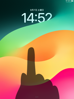 iPadで不要な壁紙を削除する