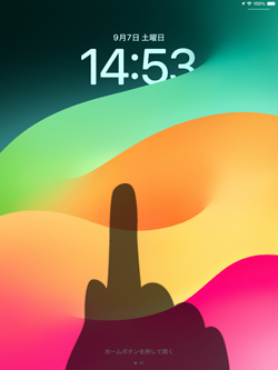 iPadで不要な壁紙を選択して削除する