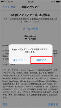 iTunes Store 利用規約 同意する