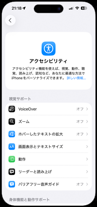 アクセシビリティ