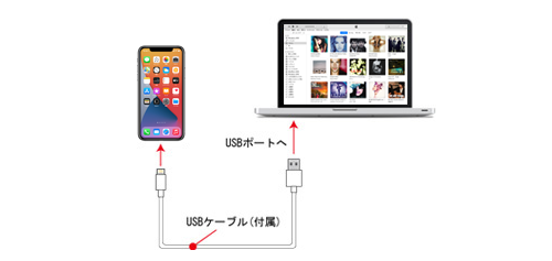 iTunes iPhone 接続