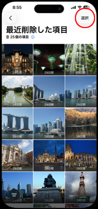 最近削除した項目で選択をタップする