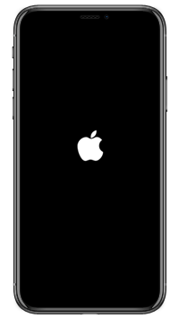 iPhone X/XS/XR/11の画面にアップルロゴが表示されるまでサイドボタンを押す