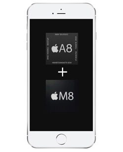 iPhone 6 Plus A8+M8